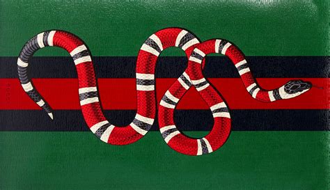 what breed of snake is the gucci snake